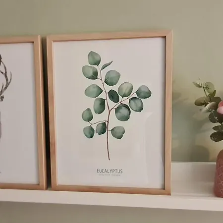 Apartmán Am Bibelgarten Sophia *